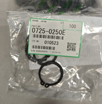 07250250E Стопорное кольцо М25 (1 шт.)